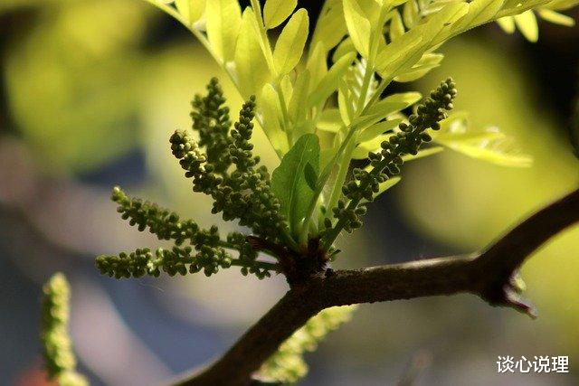 「巨蟹座」6月，兜兜转转，他未娶，你未嫁，3星座邂逅旧爱，余生执手天涯