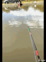 |“当看到长辈喝醉酒后这样子操作，哈哈...这明显是喝了酒还不服的！”