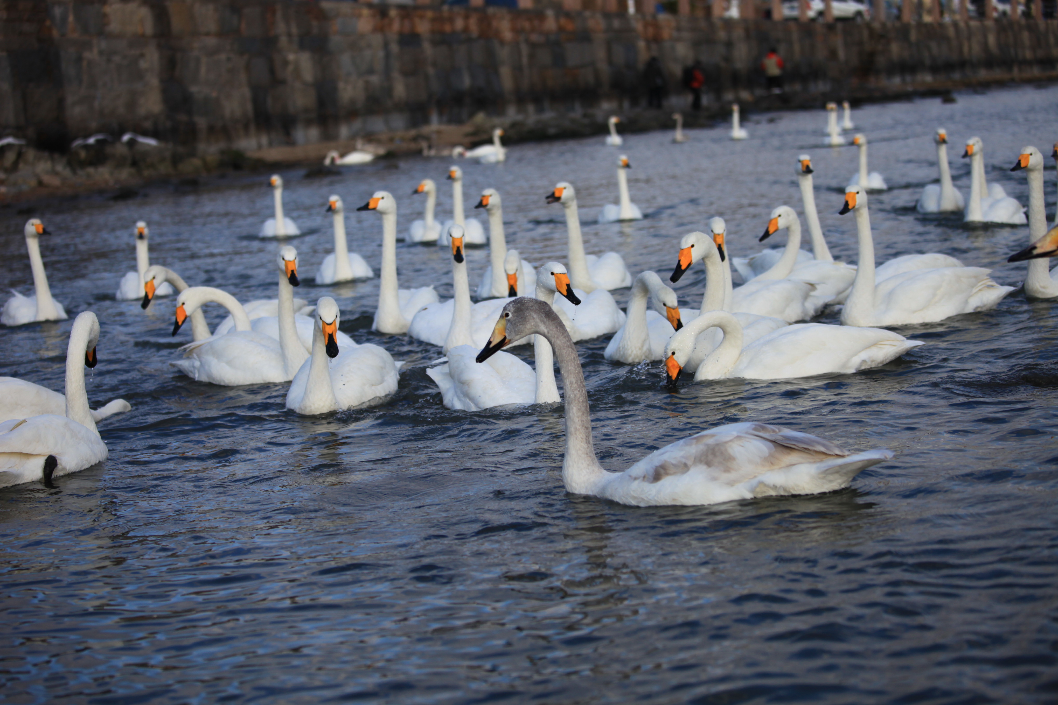 大理■中国最适合养老的4个城市，退休后带上老伴儿去住，享受惬意时光