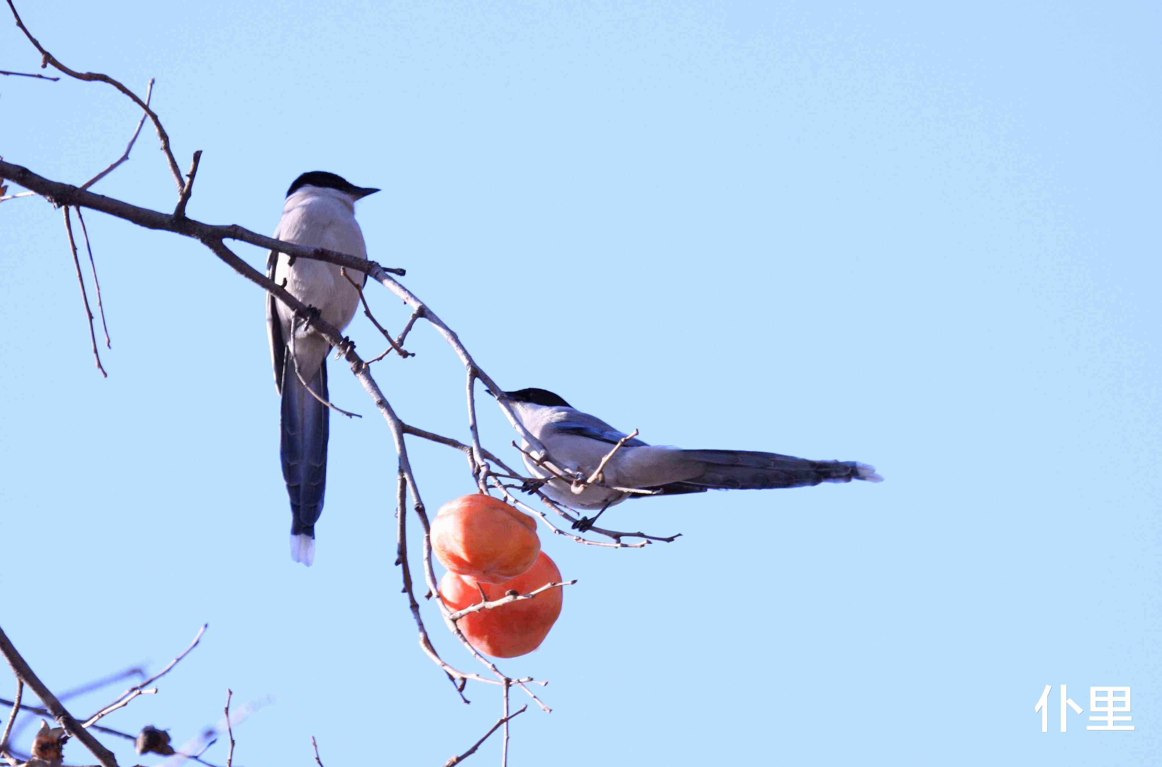 生肖：6月16号，财运机遇重现，满面春光的3个生肖，福财天降，必将大富