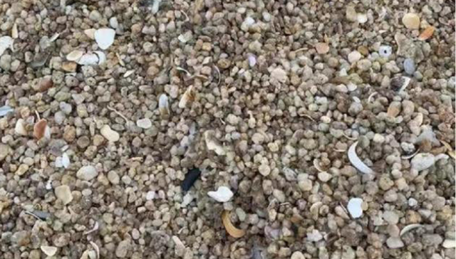 「温泉」体验双月湾“网红水滴酒店”，温泉和沙滩让人无比失望