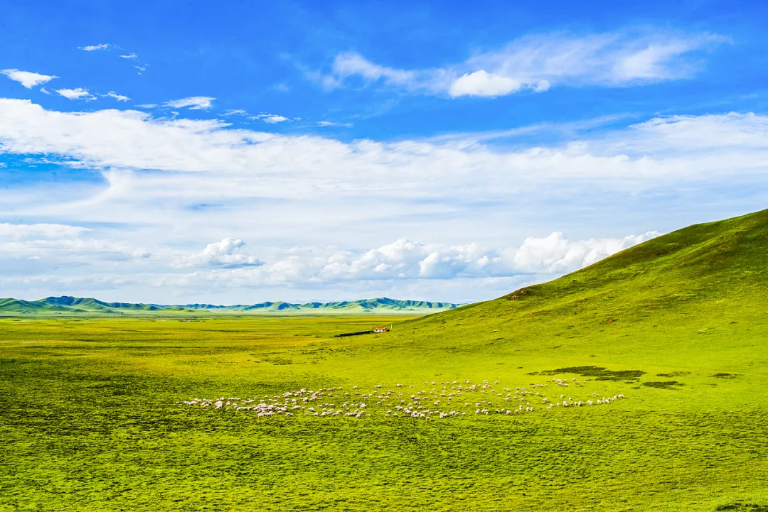 66号公路▲中国的66号公路！这条藏在川西的草原天路，每一帧都是流动的大片|思鹿旅行推荐