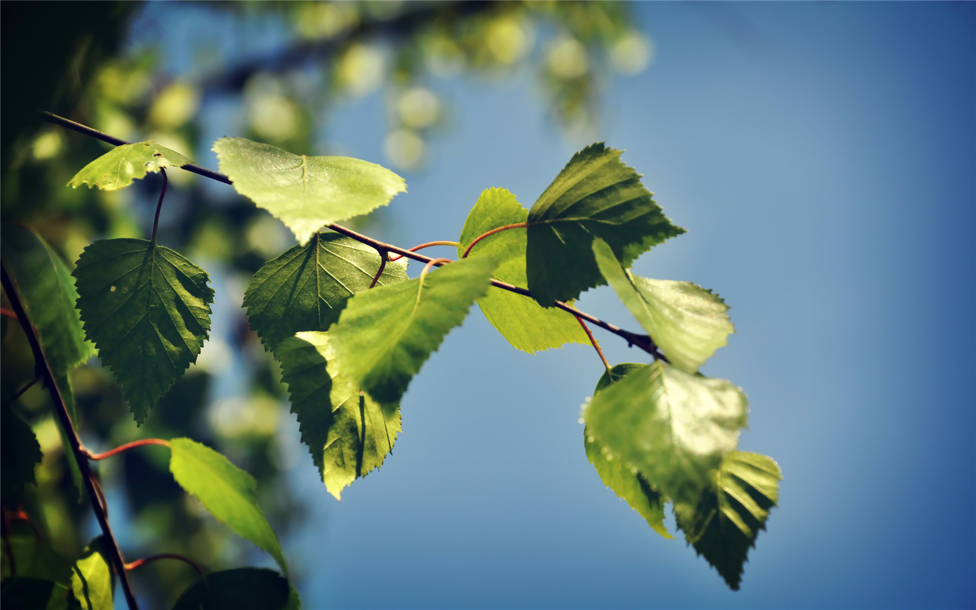 吉星|从9月19日开始，运势旺盛，会福星高照，精彩连连的三大星座