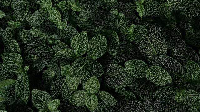 望穿秋水|8月底，苦苦等待，盼旧爱归，3星座望穿秋水，共度幸福余生