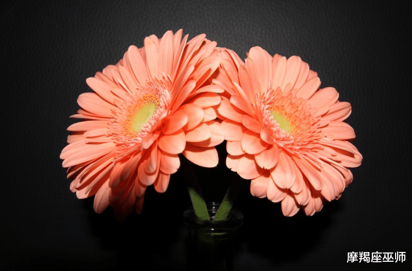 「生肖」4月天公作美，难忘情缘，守得云开，爱人来相逢，甜蜜永驻的生肖