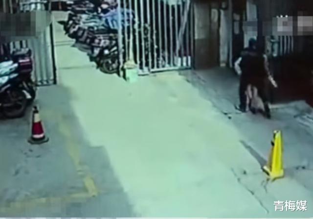 青梅媒|已婚女子在楼下遭遇抢劫,还被男子抱进单元楼内,网友:自作自受
