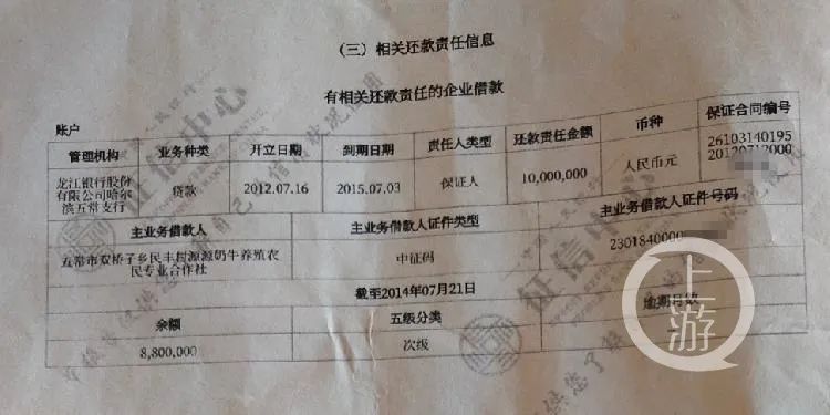 上游新闻|黑龙江农民夫妻莫名成2000万贷款担保人，银行调查组已开始核查