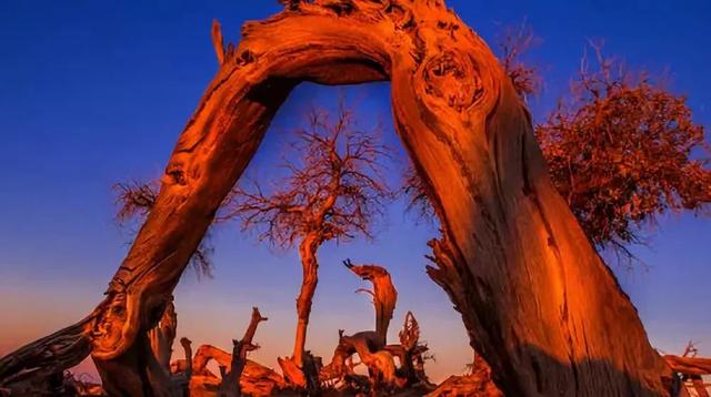 自驾|4条最适合国庆自驾的路线,约上三两好友出发吧!