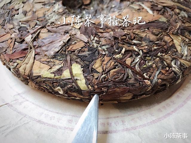 小陈茶事|这才是喝白茶饼真正的奥秘，看懂弄明白，你还会说自己不会喝吗？