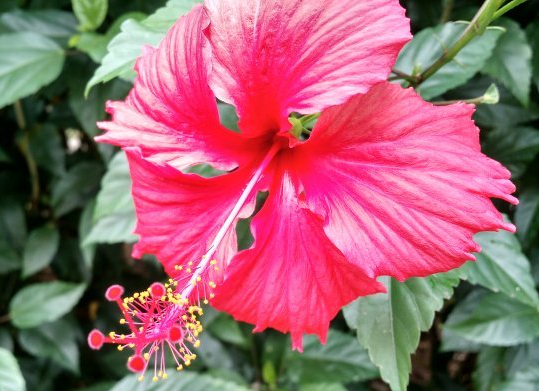 「生肖」下个月好运关照，4属相大吉大利，福旺业顺，喜事接二连三