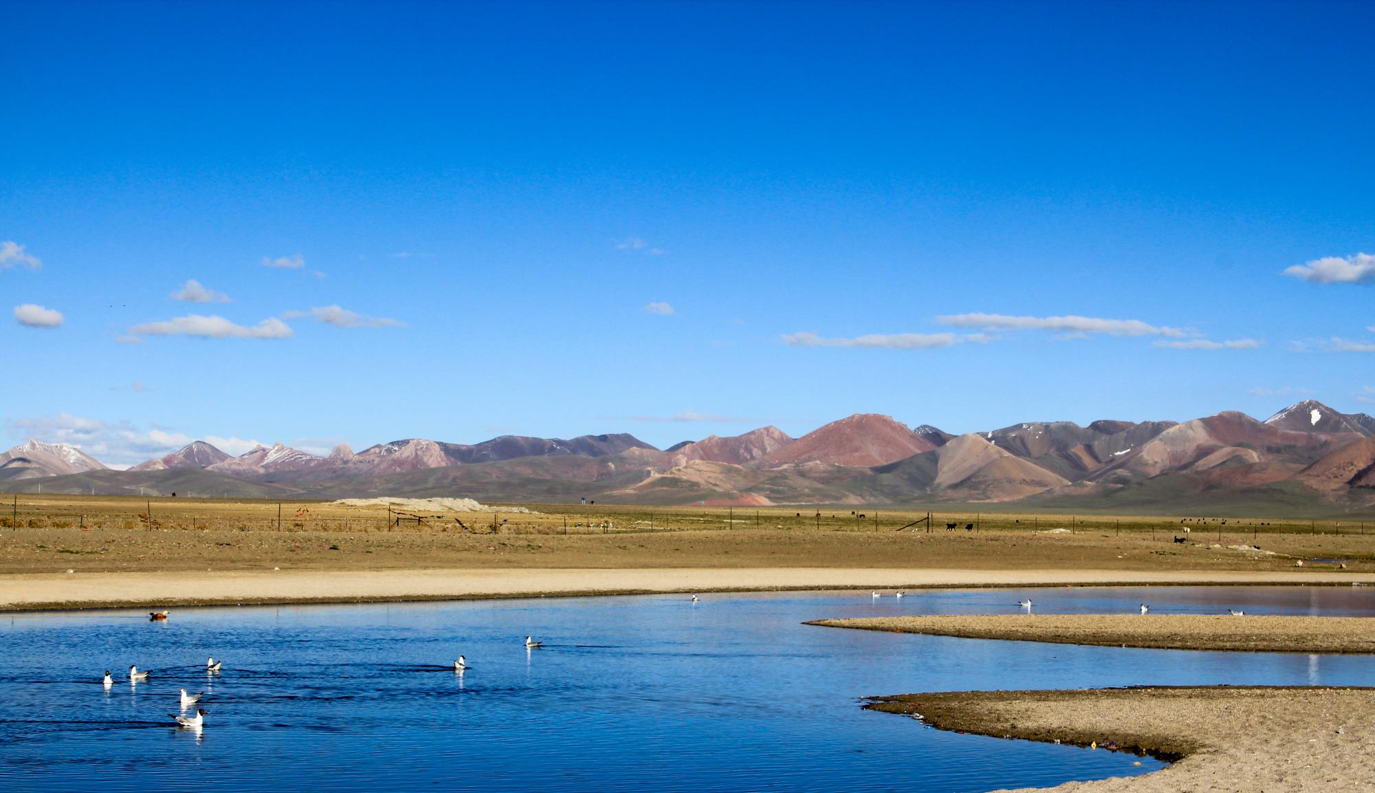 「西藏」西藏纳木错，我被6岁小孩堵在厕所里，交了特殊“过路费”才出去