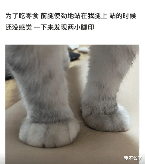 |“有什么工作是你做了一次，以后都不会再做的工作？”哈哈哈鹤顶红品鉴过分了