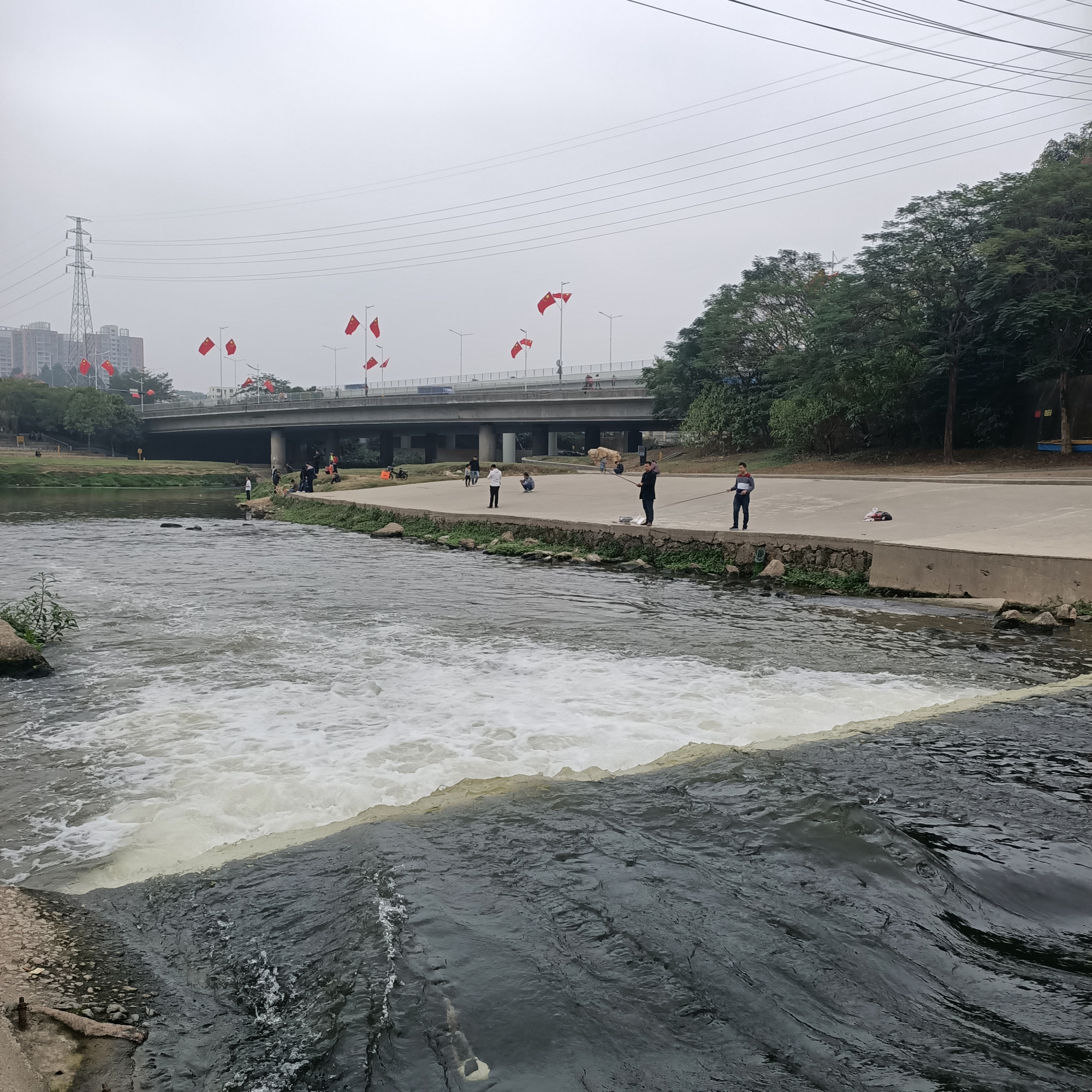 深圳市▲深圳曾经的臭水沟变成了清澈见底的河流，垂钓者：鱼太多钓不完
