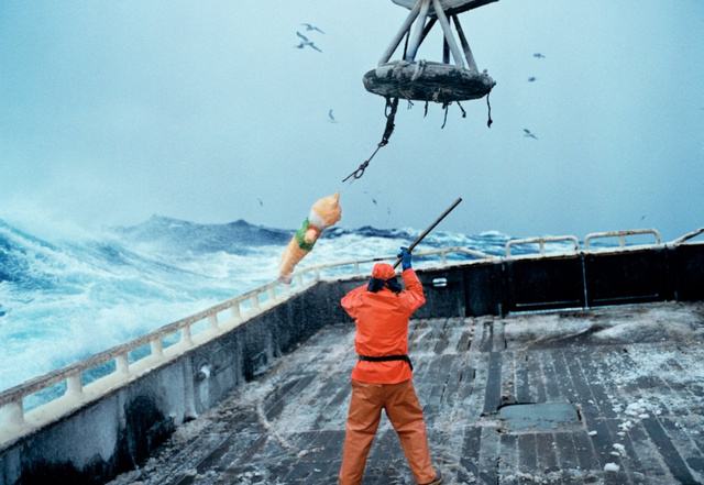 死亡率|世界上最危险的职业，一年工作五天就能赚70万，死亡率是很高的