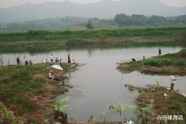 长江|13人因钓鱼被抓，禁渔期禁令并非玩笑，如何合法钓鱼？