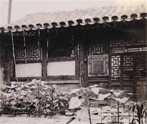 鲁迅：鲁迅离世后，许广平断掉了朱安的伙食费，朱安说了一句话令人落泪