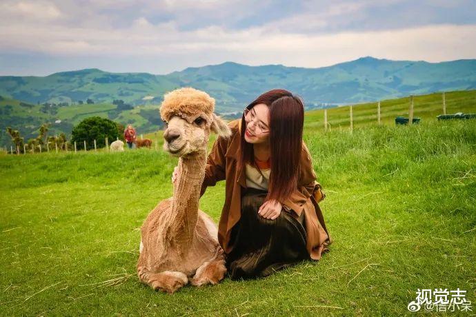 视觉志|「中国锦鲤女孩」1元骗局背后，那些人设崩塌的中奖者