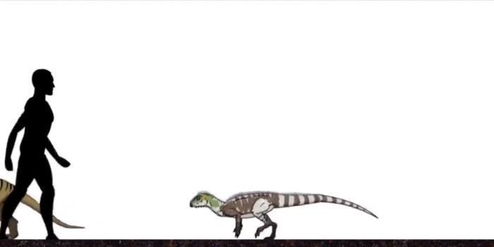 恐龙|远古时期的地球, 曾存在过的可怕生物, 今已全部灭绝