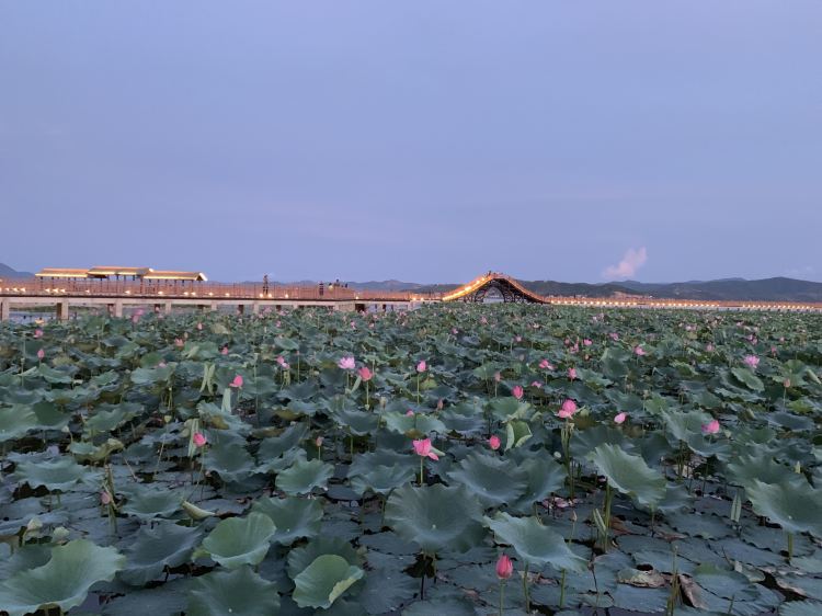 「云南」云南被忽略的城市石屏 以豆腐的鲜美为招牌 原汁原味的古朴小城