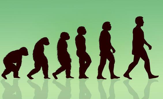 基因|男人的胡子有什么作用？为什么人类在进化过程中保留了胡子？