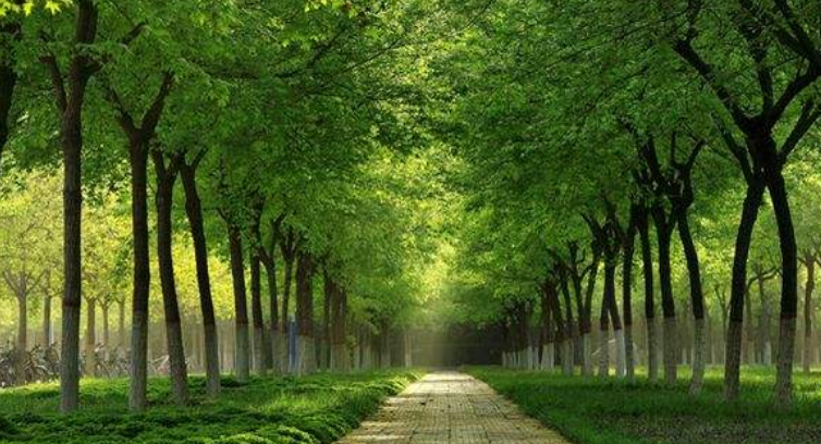 西北农林科技大学|国内适合“捡漏”的2所大学,一所211一所985,录取分数很实在!