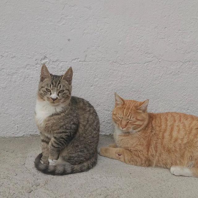 【】韩国30岁单身女孩，公开独居十年的公寓火遍油管：自由工作的日子，真的太爽了