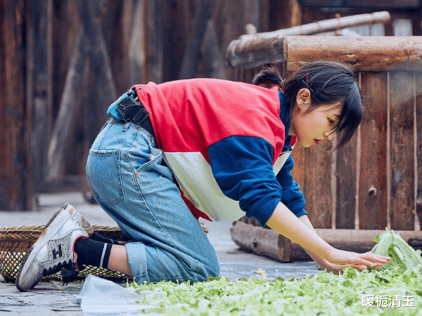 「张子枫」向往的生活:为何张子枫在节目中频繁的喝牛奶?真实原因惹人心疼