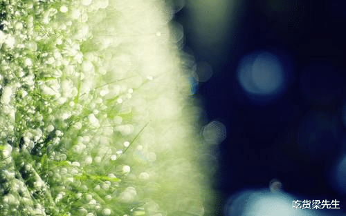 【生肖】今后三年，好事喜事常常出现，横财不断，买房买车的四大生肖