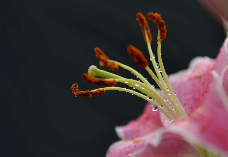 运势|下周运势上吉,3生肖财源滚滚,事业上升,收入翻倍,金玉满堂