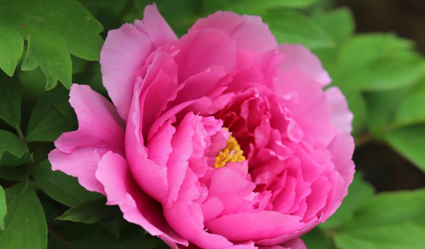 搭讪|容易被异性搭讪的星座女，具有一见钟情的魅力