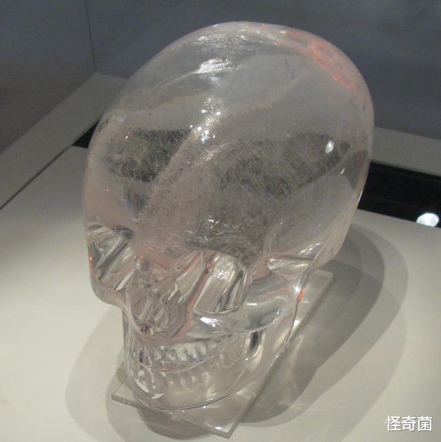 科学家|科学史上四大谎言，全部是假的，却还有人深信不疑