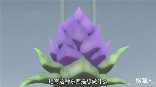 火影忍者剧场版|博人传174集，柱间细胞新设定，人工制造神树，大蛇丸落后了