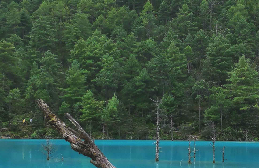 运势|十月上旬开始，运势回升，财运来袭，财气逼人的生肖