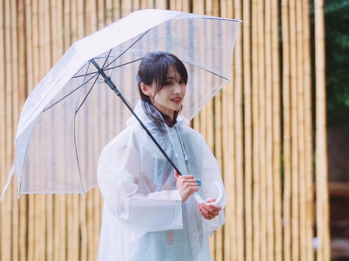 郑爽|郑爽“弃子门”24小时，王思聪朋友圈曝光：这才是你最该知道的真相