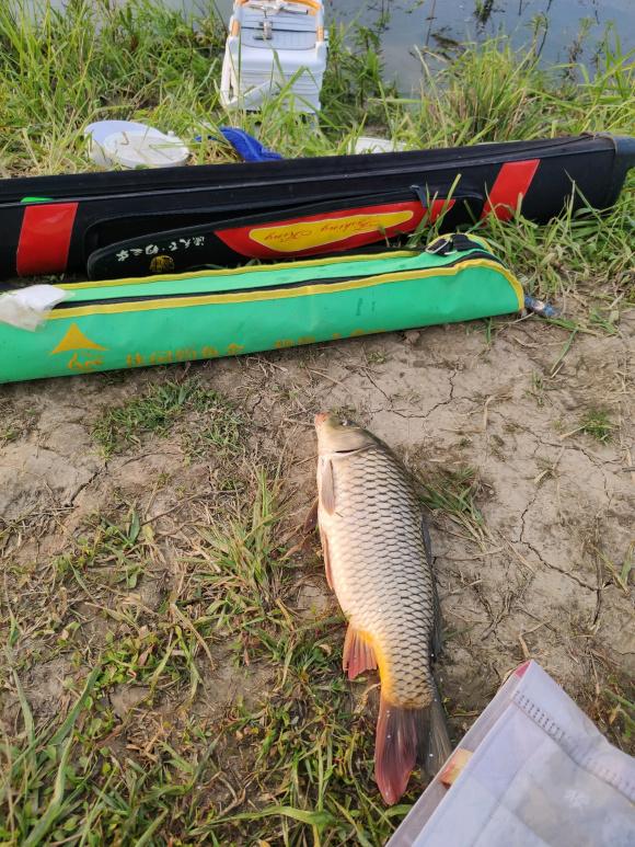 饵料|南京男子去河边钓鱼,水面竟漂浮一条细长手臂,网友:水猴子