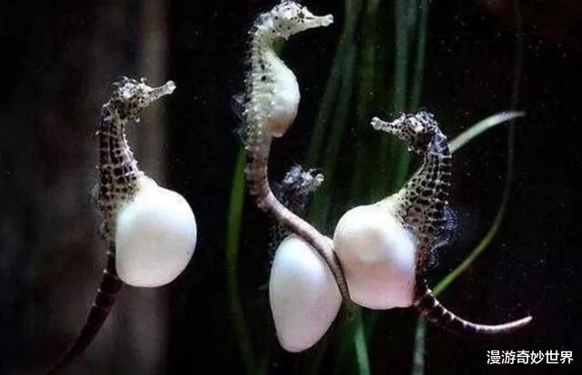 |估计你没见过的28张图,看完姿势大涨!