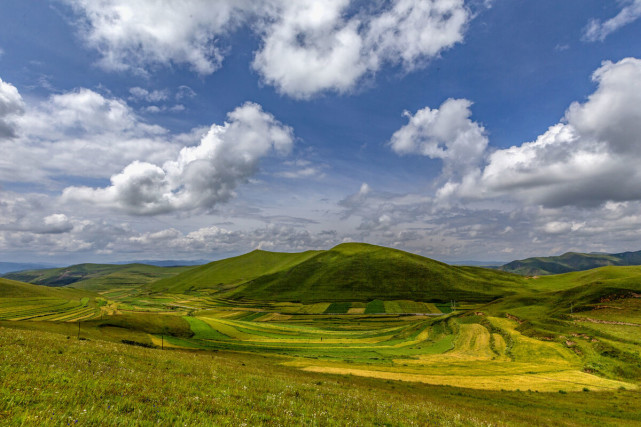 甘南|走过盛夏,甘南的秋天,又是另一个五彩斑斓的世界!