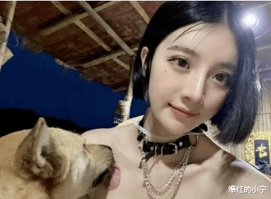 |假如一个月给你20万,这些职业选一个你敢吗?哈哈哈哈