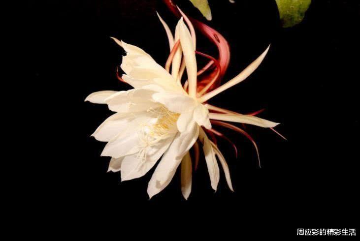 运势|9月开始横财发,贵人入运,想啥就来啥的四大属相