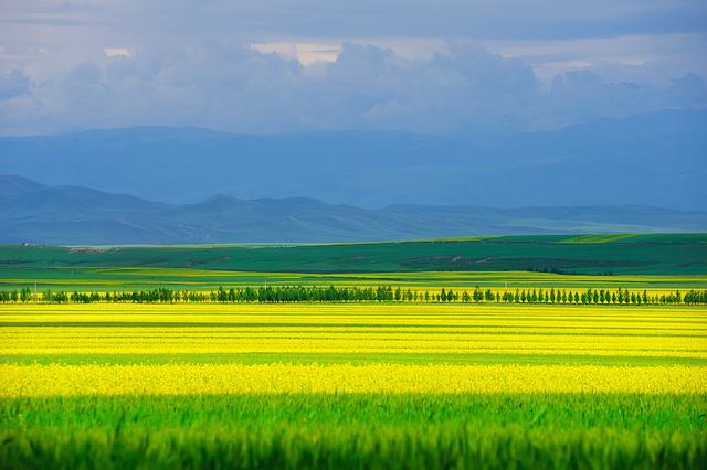 新疆维吾尔自治区|终于！可以去新疆了！最新防疫政策：全疆景点开放、恢复大巴出行