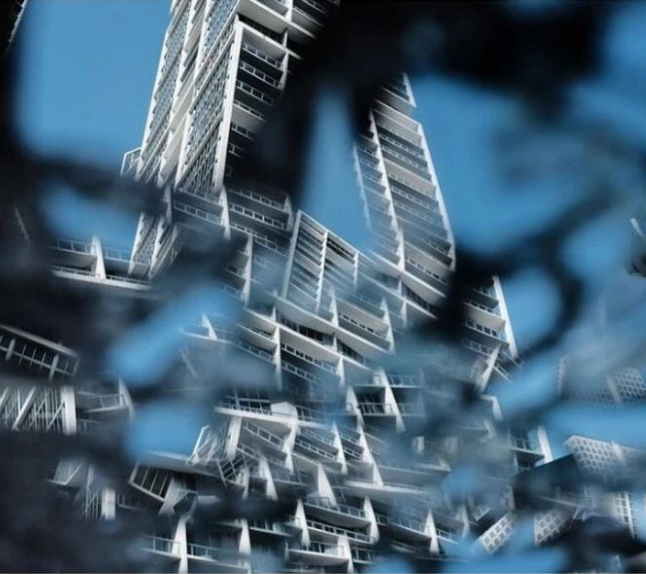 蜘蛛|涨姿势了，26张图告诉你世界又多奇妙！