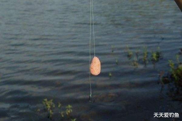 ▲夏季钓鱼，子线的选用技巧，科学的选择子线长短，钓鱼事半功倍！