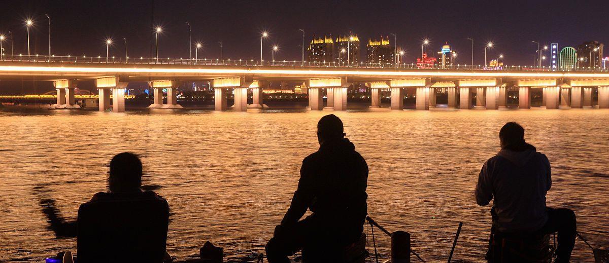 鲫鱼|秋末夜钓的3个思路，虽然简单，但是可以做个参考