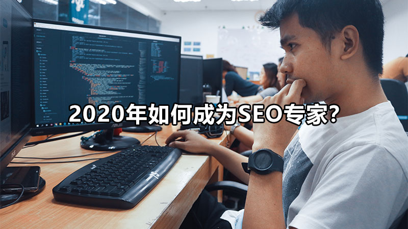 算法|2020年如何成为SEO专家？