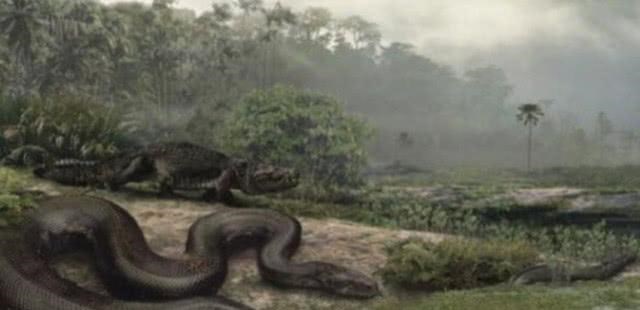 「」世界上最大的蛇是哪种蛇？