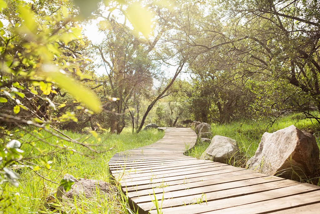 「太行山」全长2300公里的太行山森林步道正式迎宾了！