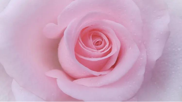 万水千山|15天后，万水千山情深意重，三星座爱的深沉，往后余生不分离