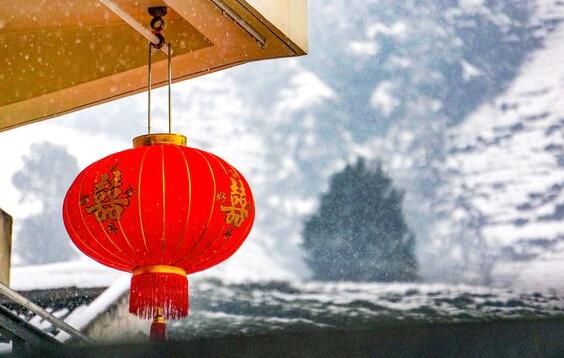 『』7天内工作畅通无阻，喜鹊报喜，财旺福旺，万事不求人的属相