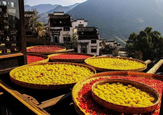 旅行|这25张照片,就是劝你这个秋天去旅行的全部理由