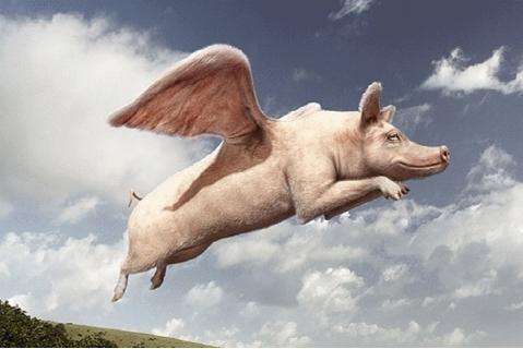 『裂变』返利，裂变，羊毛长在谁身上？